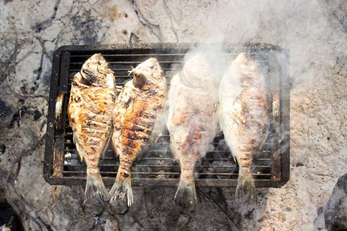 Jak grillować ryby? Podstawowe zasady